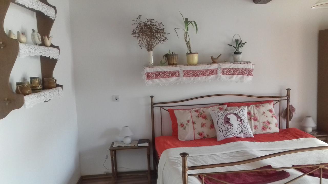 Rigofuetty Vendeghaz Otel Tiszaalpar Dış mekan fotoğraf