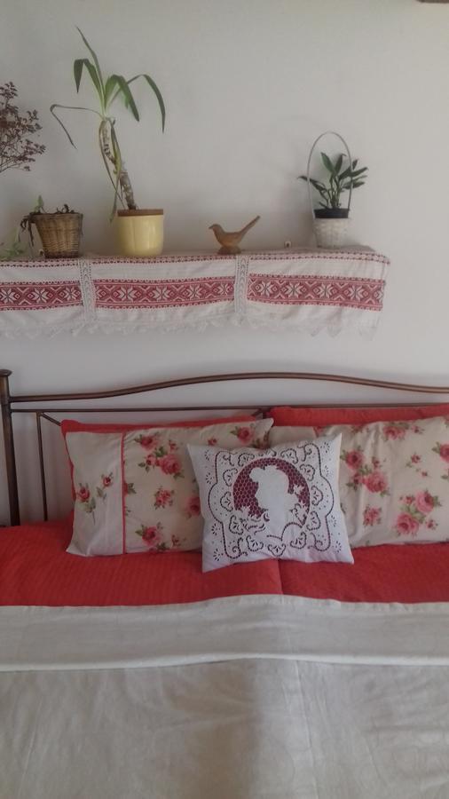 Rigofuetty Vendeghaz Otel Tiszaalpar Dış mekan fotoğraf