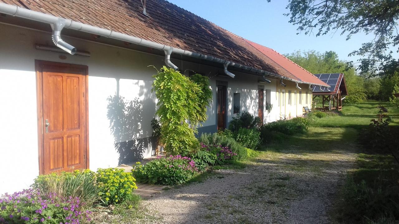 Rigofuetty Vendeghaz Otel Tiszaalpar Dış mekan fotoğraf