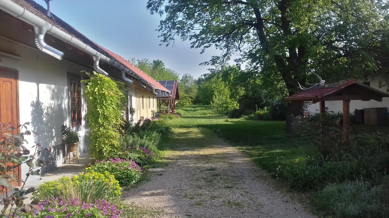 Rigofuetty Vendeghaz Otel Tiszaalpar Dış mekan fotoğraf