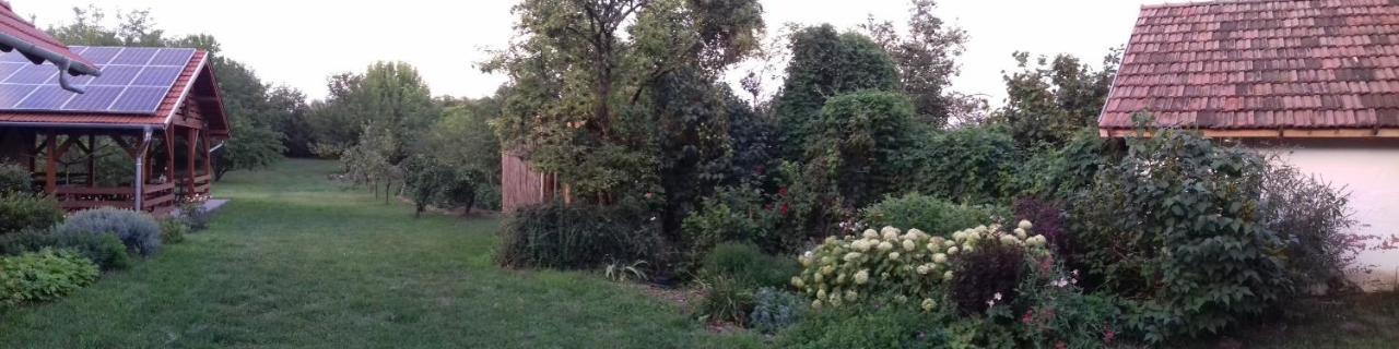 Rigofuetty Vendeghaz Otel Tiszaalpar Dış mekan fotoğraf